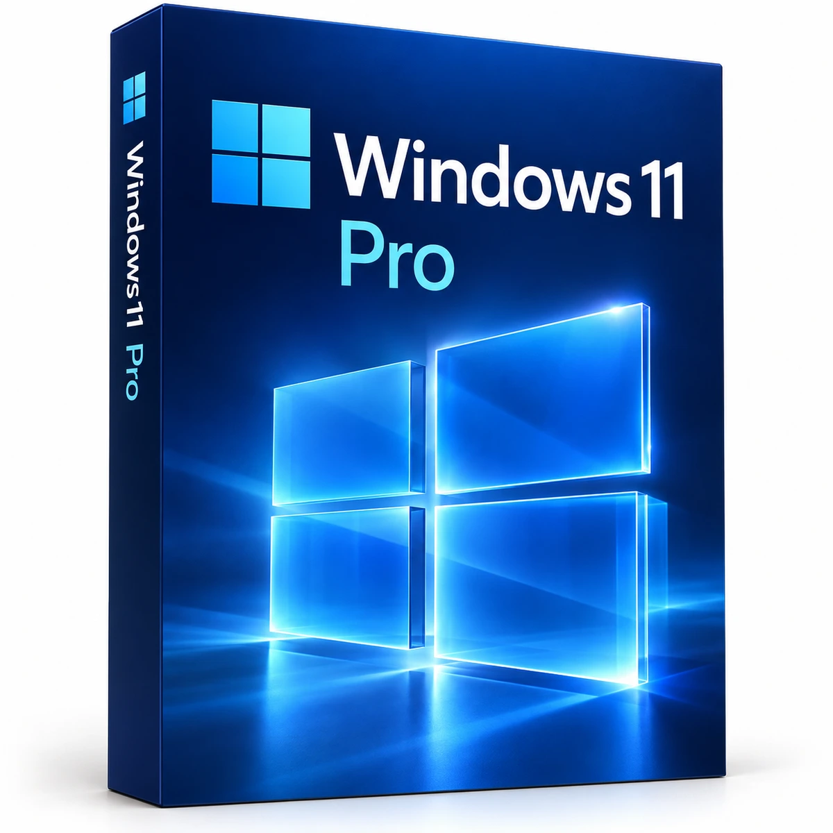 Windows 11 Pro