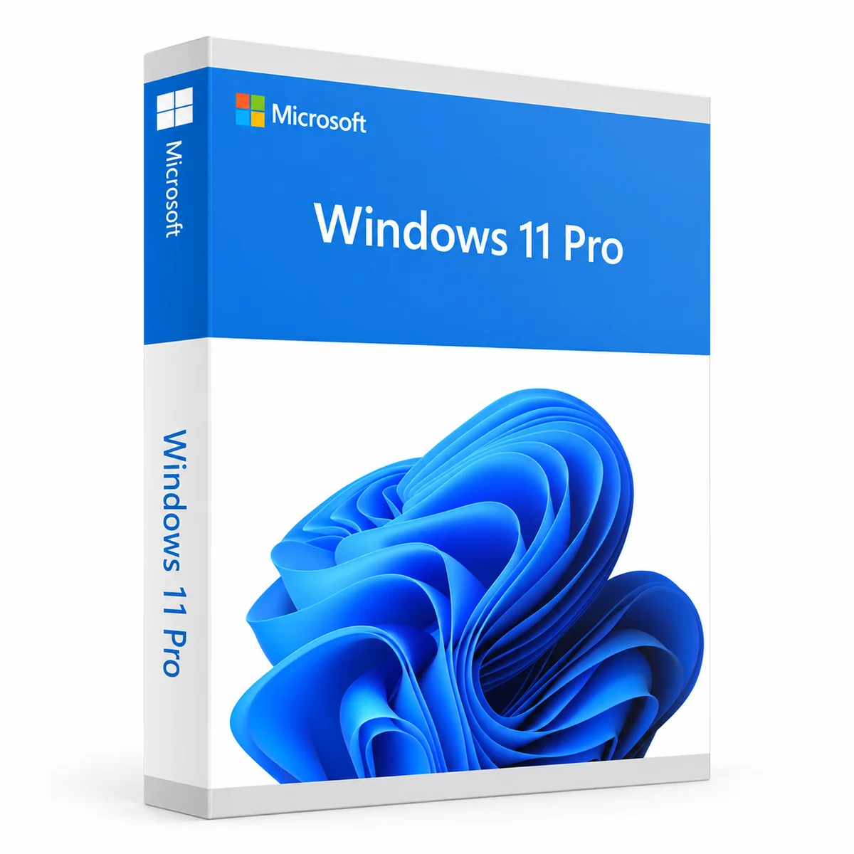 Windows 11 Pro